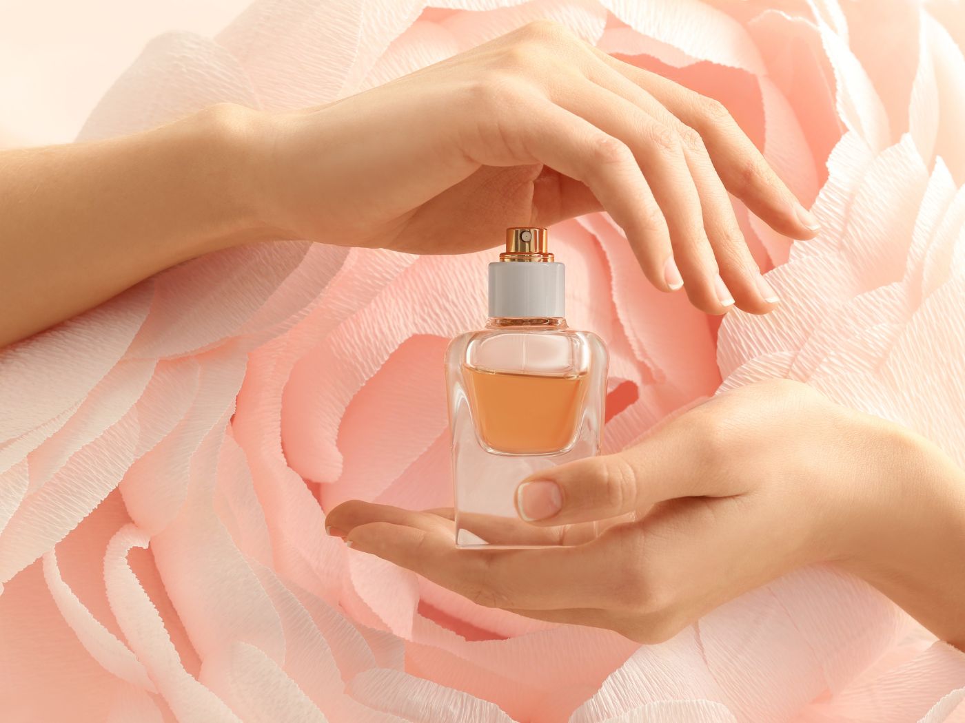 Perfume Care: 5 Things I Wish I'd Known Earlier