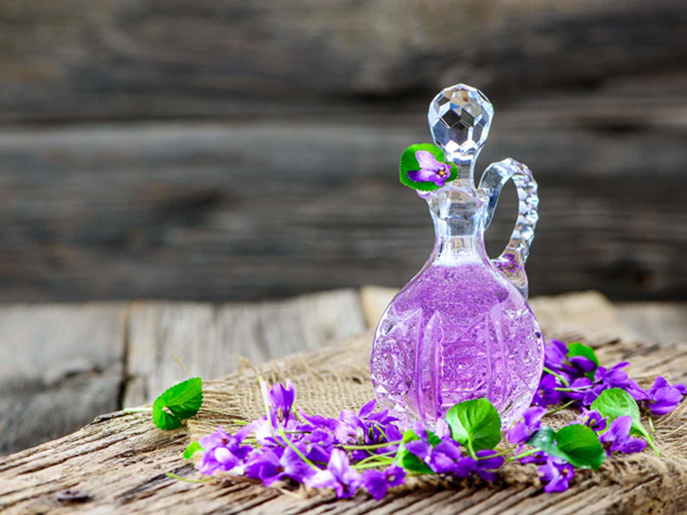 What are the benefits of Sweet Violet